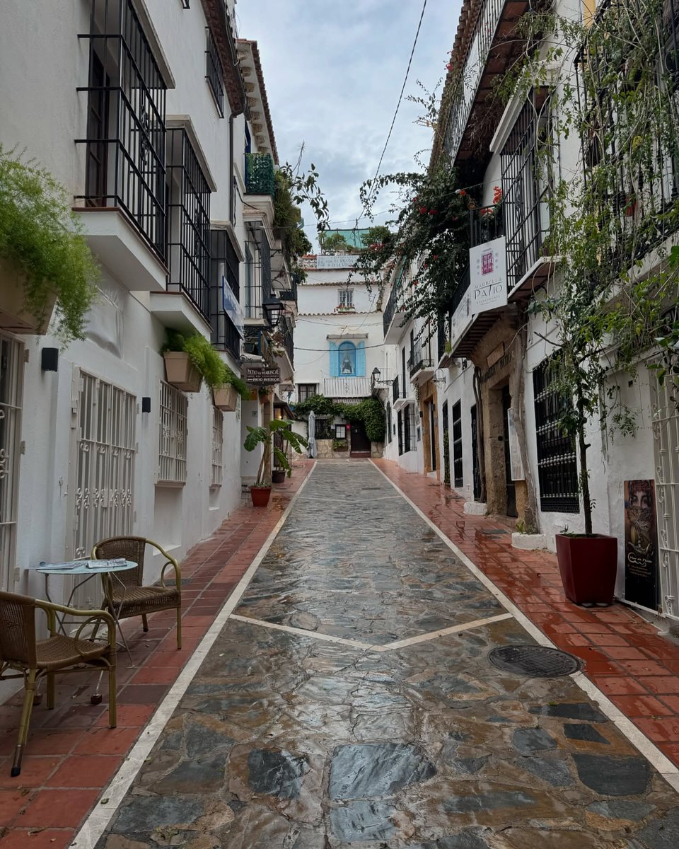 Collette tweet media