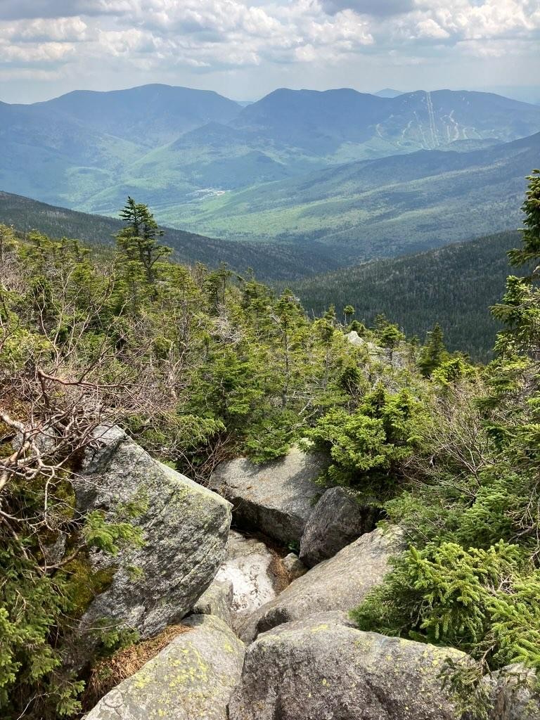 ✨Spruce up your Saturday with a little Madison Gulf magic.✨ 

📸 @summitsnackattack

#whitemountains #madisongulf #getoutside #hikethewhites #visitnh #discoveryournew #optoutside  #presidentialrange #northernpresidentials