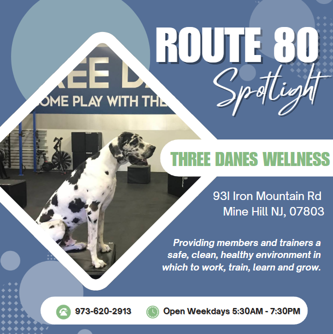Wellness starts at Three Danes Wellness in Mine Hill, NJ. Whether you’re looking to relax, recharge, or restore balance—their holistic therapies and personalized care are here to support your journey. Support our Route 80 businesses and visit Three Danes Wellness today!