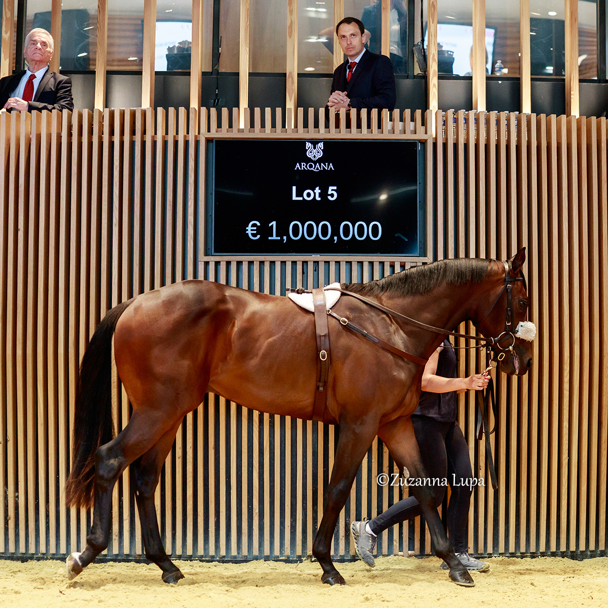 TDN (@thetdn) on Twitter photo A Maryland-bred colt from the first crop of <a href="/DarleyAmerica/">Darley in America</a>'s Maxfield set the tempo early at the <a href="/InfoArqana/">ARQANA</a> #BreezeUpSale when he sold for €1 million to <a href="/godolphin/">Godolphin</a>.
It proved to be another shrewd piece of business for <a href="/NormanW74303774/">Norman Williamson</a> of Oak Tree Farm given he sourced the colt A Maryland-bred colt from the first crop of <a href="/DarleyAmerica/">Darley in America</a>'s Maxfield set the tempo early at the <a href="/InfoArqana/">ARQANA</a> #BreezeUpSale when he sold for €1 million to <a href="/godolphin/">Godolphin</a>.
It proved to be another shrewd piece of business for <a href="/NormanW74303774/">Norman Williamson</a> of Oak Tree Farm given he sourced the colt