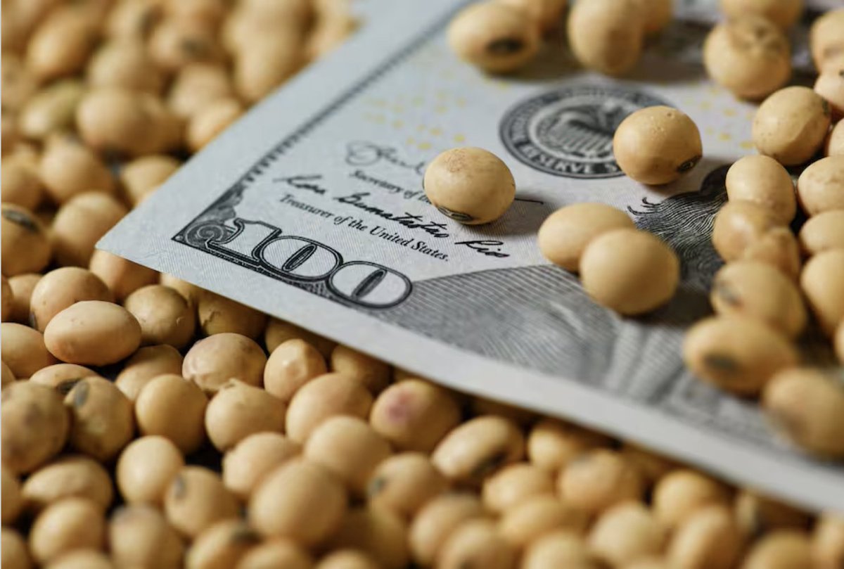 La matriz exportadora argentina es y seguirá siendo (al menos por mucho tiempo) la agroindustria de la Región Centro. Como muestra este informe de la <a href="/BolsaRosario/">Bolsa de Comercio de Rosario</a>, sobre sus espaldas recae hoy el costo de sostener la fiesta financiera de la city, como antes lo fue el de sostener