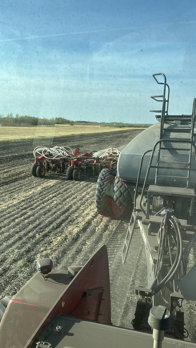 Calving ‘25 is officially over…. But it’s been over for me for a few weeks now:) The cows calving after about April 20th receive no special attention. Seeding progressing along nicely. Still praying for a rain delay