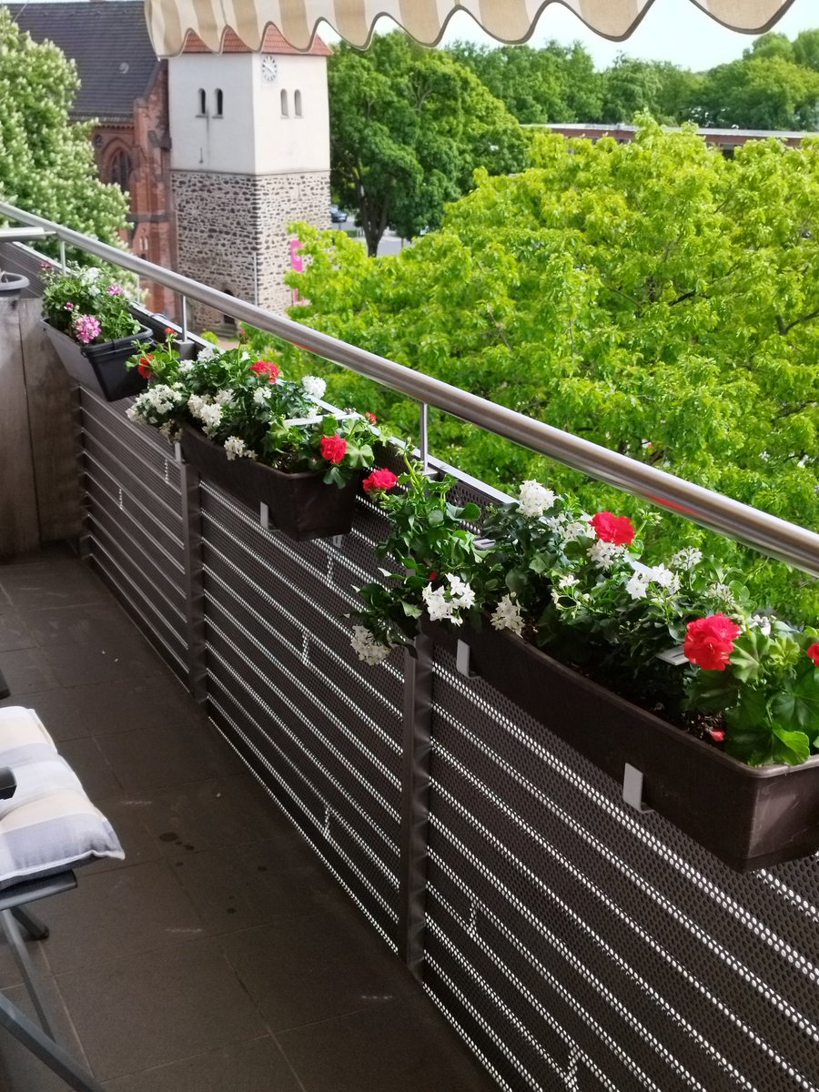 Schnurliboy (@schnurliboy) on Twitter photo 