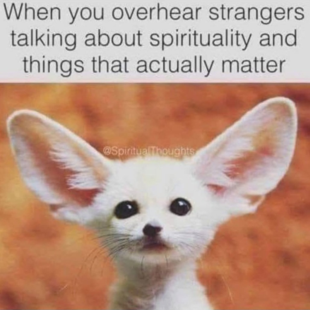 I'm all ears 😂