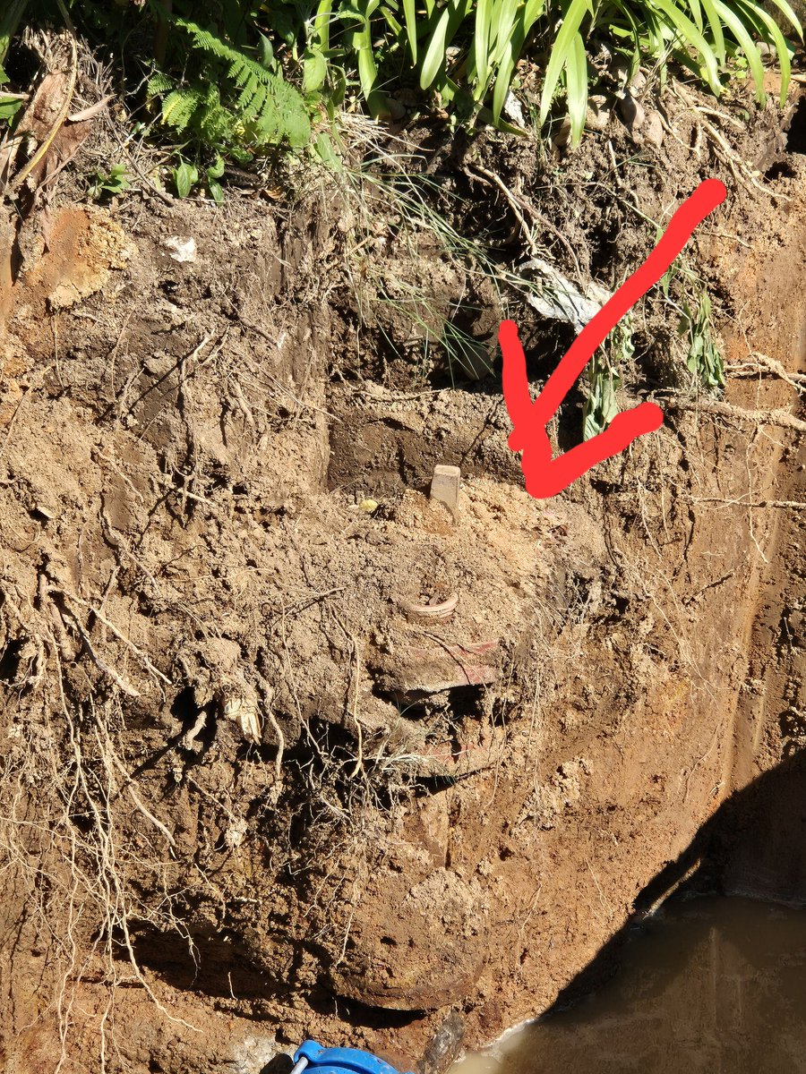 Jadekins7's tweet photo. @JHBWater @CityofJoburgZA @CityofJoburgEMS

👆🏻 This is the location of the *Fire Hydrant* outside 18 Canterbury Crescent, Gallo Manor Ext 1, Sandton.

60 years have added almost 1m of soil build-up. *It is now almost a meter underground*. 🫣🤬😭 https://t.co/f5qngnFUho