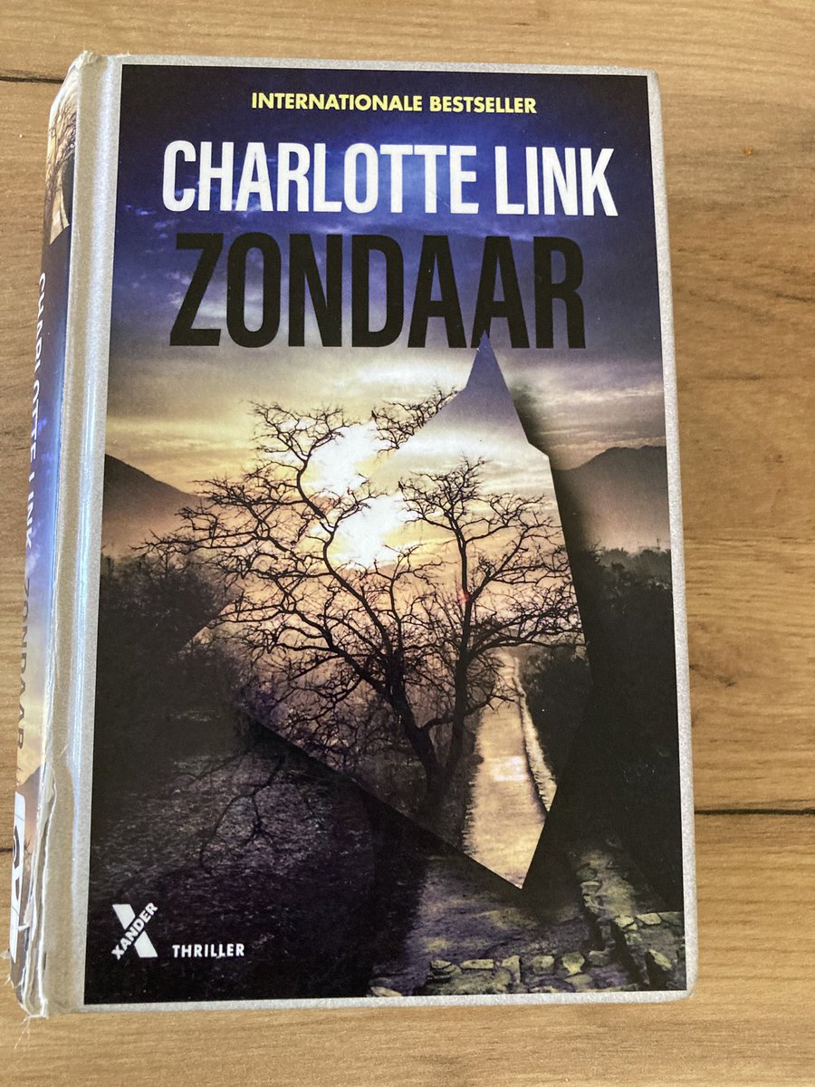 Boek uit: Zondaar, Ohne Schuld van Charlotte Link. Over detective Kate Linville. Over een #adoptie #ontvoering #moordpogingen #BoekPerWeek #thriller