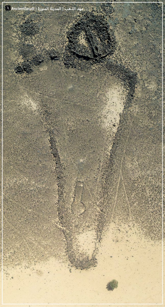 Ancient SAUDI 🇸🇦السعودية القديمة tweet media