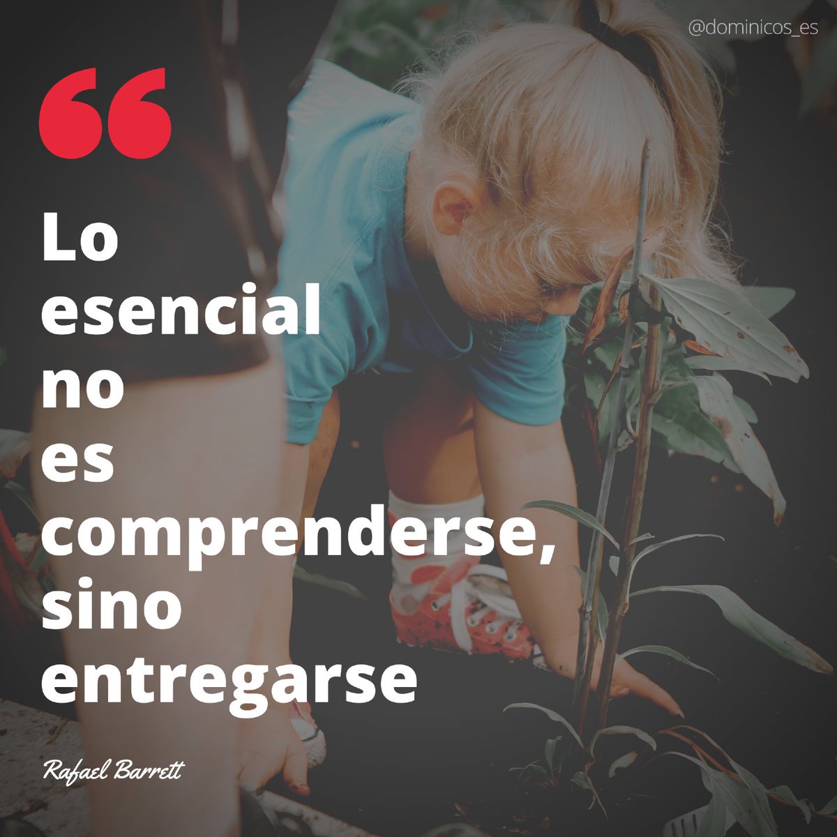 ‘Lo esencial no es comprenderse, sino entregarse’ Rafael Barrett

#FelizSábado #FelizSábadoATodos