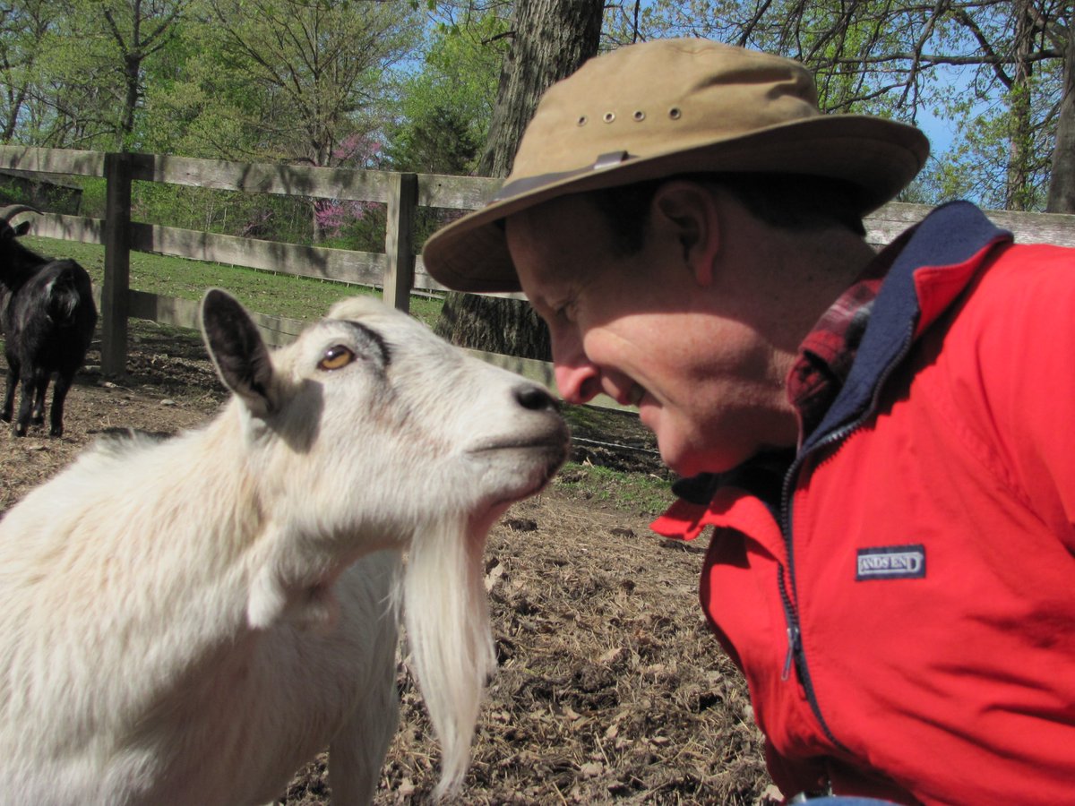 GurneyJourney's tweet image. Goat eyeballs have elongated pupils so they can scan the horizon for possible prey, but did you know that their eyeballs can also rotate in their sockets? open.substack.com/pub/jamesgurne…