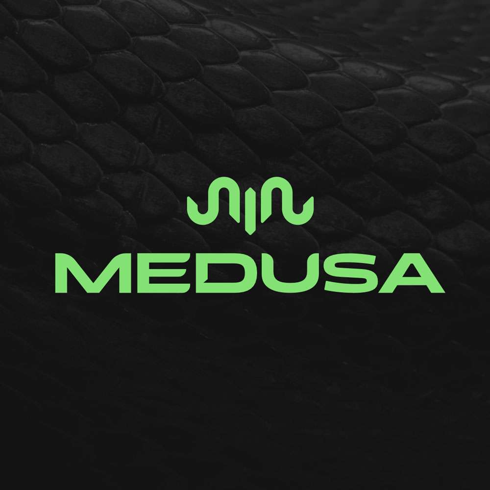 Medusa_Realm's tweet image. What’s new on Solana:
- Integrated @helio_pay for seamless payments
- Fresh UI/UX improvements
- Squashed some bugs
Building smoother, faster, better: step by step 🐍