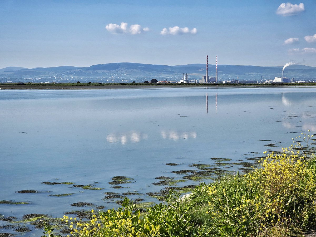 Mark_Hand tweet media