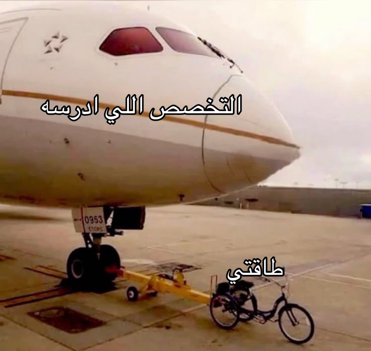 حرفياً