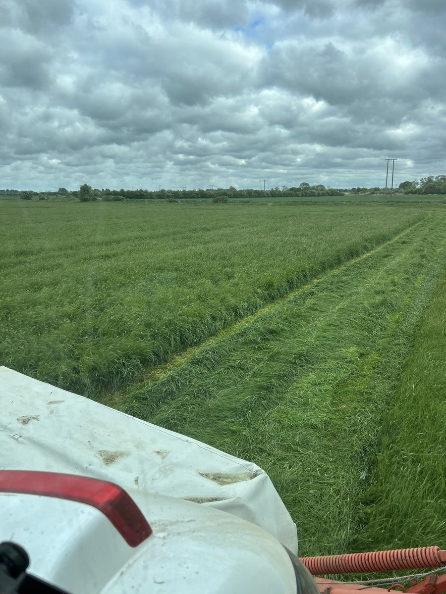 First cut of some grass for ourselves dropped this week , early but needs must before the blackgrass seeds 
Hopefully this weather whips it up quick
