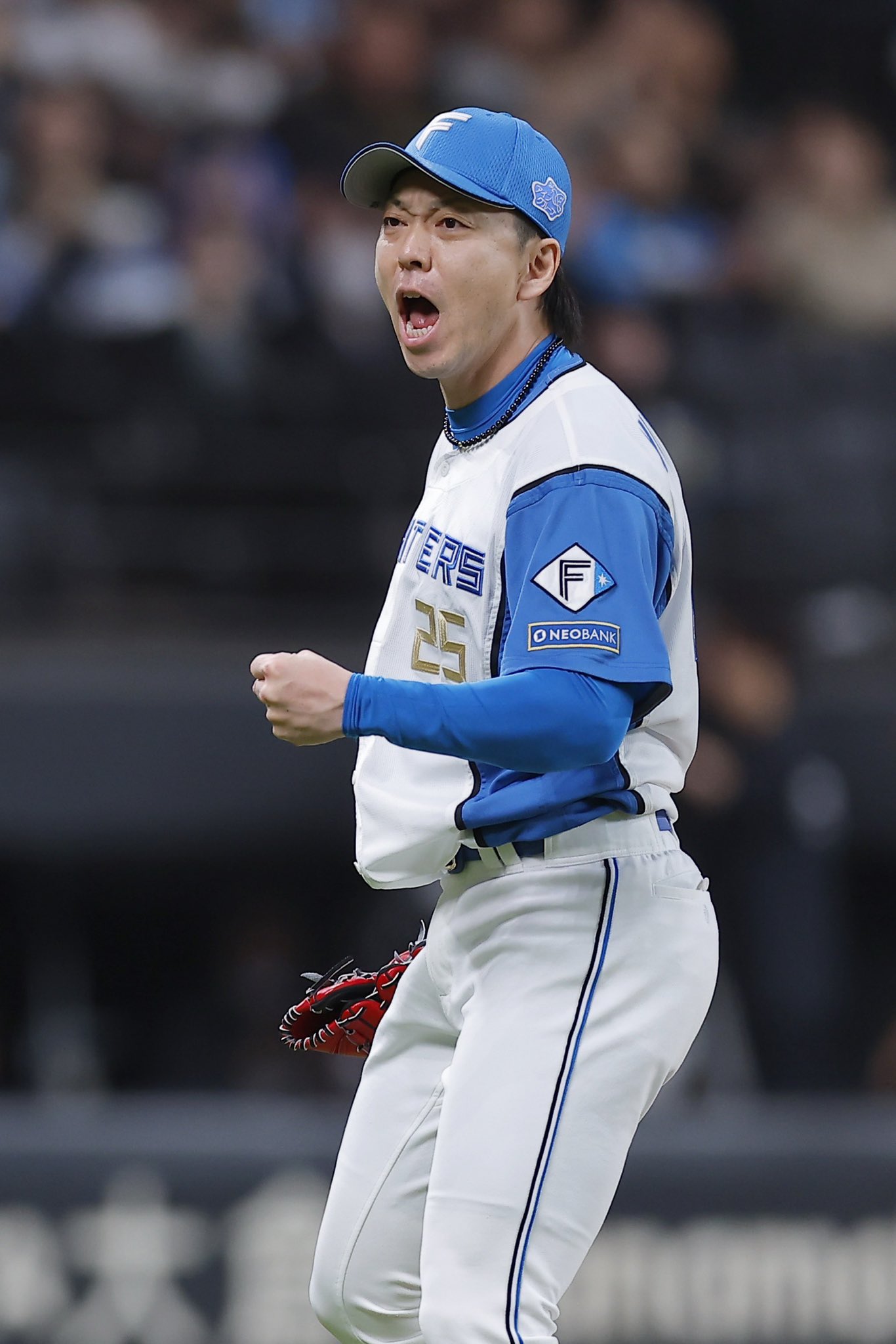 北海道日本ハムファイターズフード付ブラック監督・選手愛用