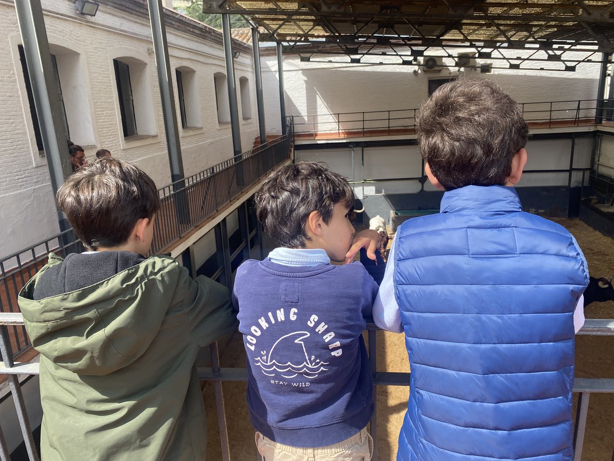 Madrid: responsabilidad, años de trabajo incansable detrás, en “juego” nuestro prestigio en cada tarde …. Y mucho, mucho miedo! Estas son nuestras sensaciones a 4 horas. Un solo deseo, que nuestro trabajo tenga recompensa!