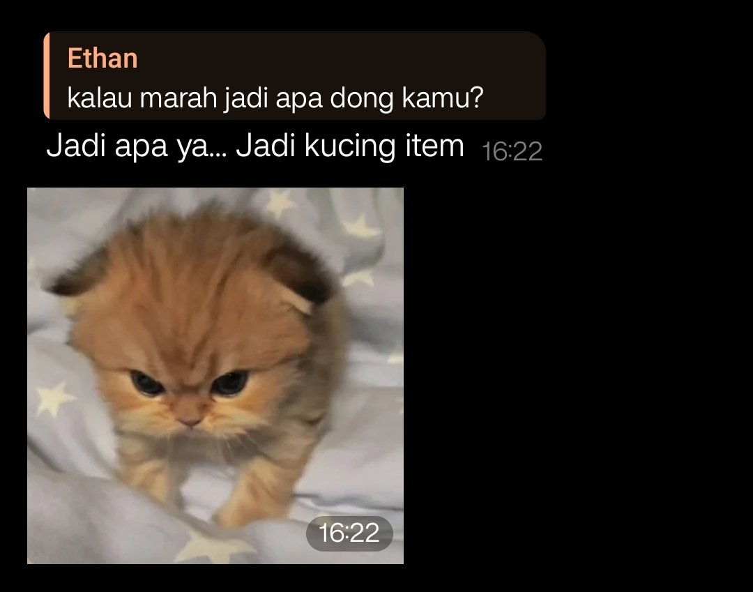 cfheetos's tweet image. kucing item apa? ini sih kaya kucing pesek.