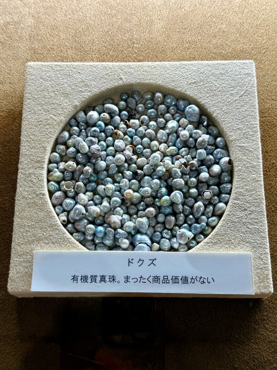 ナマケモノ🦥lazy sloth on X