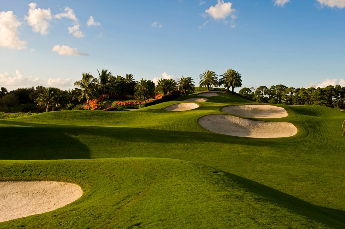 Trump Palm Beach (@trumppalmbeach) on Twitter photo Celebrate the spirit of the game with us on National Golf Day — 27 holes of scenic beauty and timeless challenge. 
#TrumpGolf #NationalGolfDay #TrumpInternational #TIGC #PalmBeachGolf Celebrate the spirit of the game with us on National Golf Day — 27 holes of scenic beauty and timeless challenge. 
#TrumpGolf #NationalGolfDay #TrumpInternational #TIGC #PalmBeachGolf