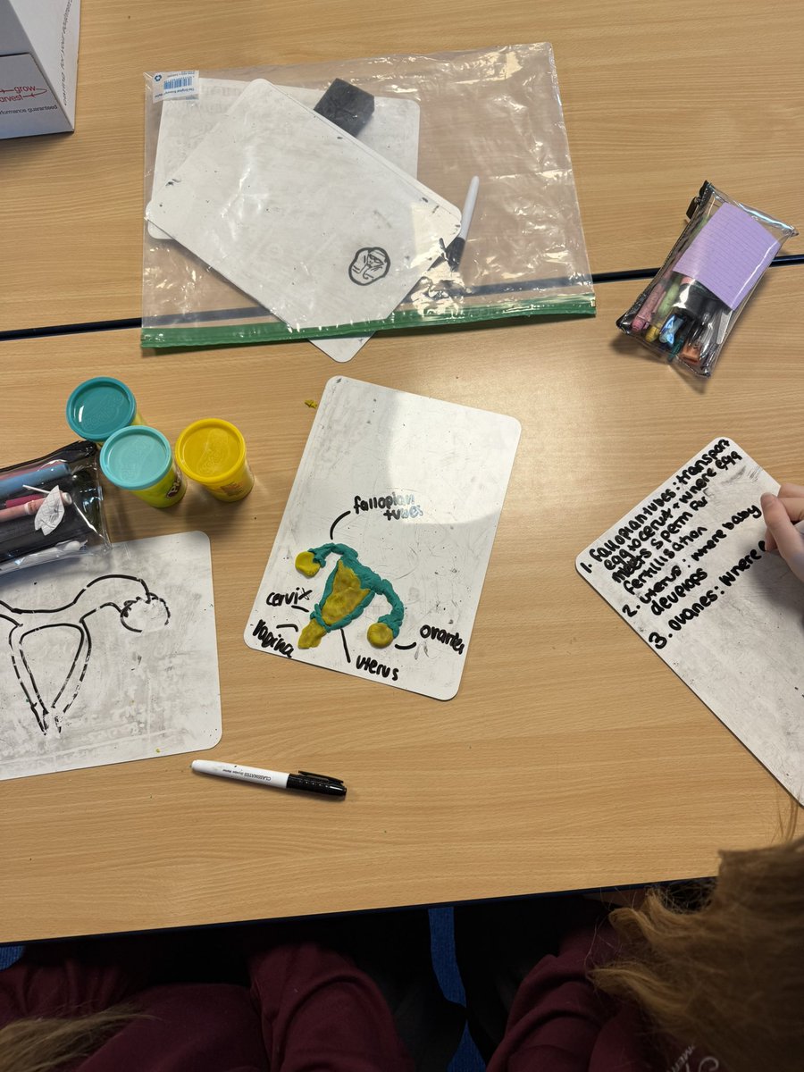 H Tanner tweet media