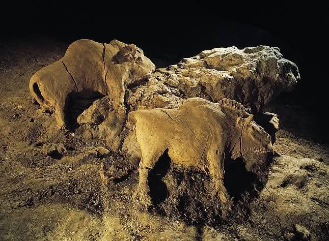 Imagine stepping into the silent darkness of a cave, only to be confronted by the powerful forms of bison, rendered in clay by hands that lived and breathed 14,000 years ago. 

Deep within the Le Tuc d’Audoubert cave in Ariège, France, lies a breathtaking testament to the
