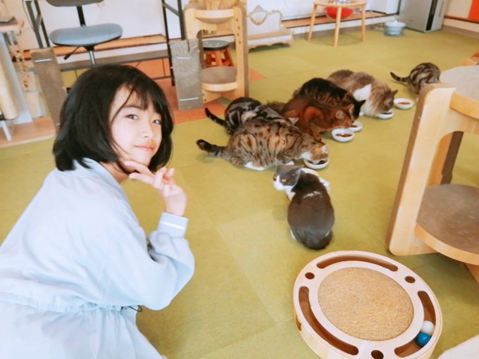 Twitterのコスプレ画像2