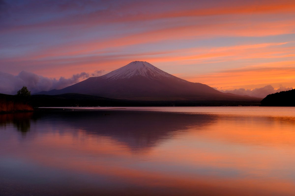 mu630201's tweet photo. 先程撮影した山中湖からの夕焼け富士です🗻筋状の雲が夕焼けに染まって綺麗でした😊
#富士山
#夕焼け
#山中湖 https://t.co/YLnKBgcEJw