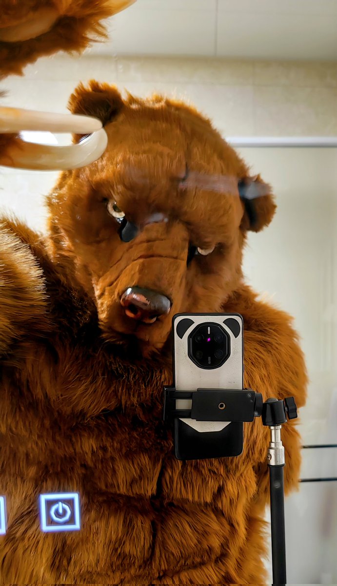 I'm back！😎
🪡：<a href="/SHAN_JUN_/">Shan Jun【山君工坊】</a>
#山君工坊 #FursuitFriday #FursuitEverday #realisticfursuit