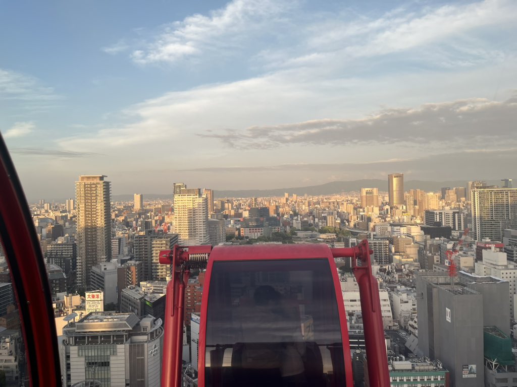 めっちゃ綺麗だった〜!!🎡