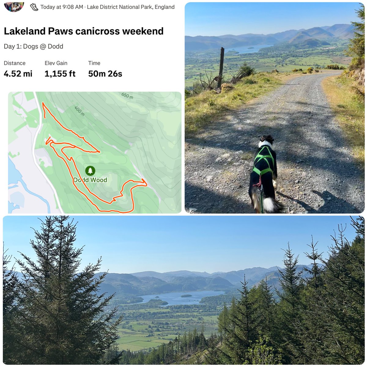 That was a very nice start to the day. I am now pooped and it’s not even lunchtime yet 😆