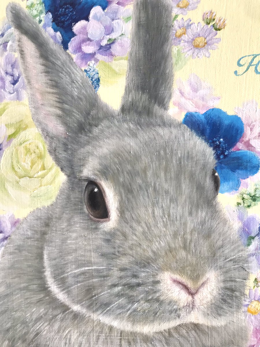 65Rikonic's tweet photo. F6号　はなちゃん🐰
甘えん坊💕かわいいはなちゃん✨ https://t.co/Ob7vij8H0t