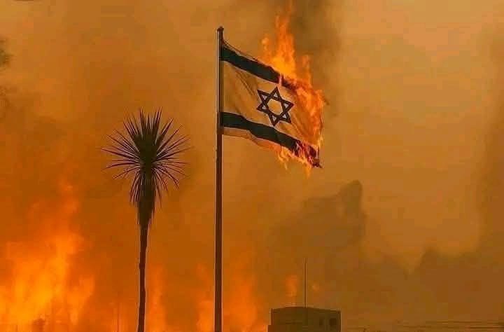 الله اکبر کبیرا 
د تل لپاره یې هم داسي لولپه او شلیدلی غواړم! 🤲🎯🔥