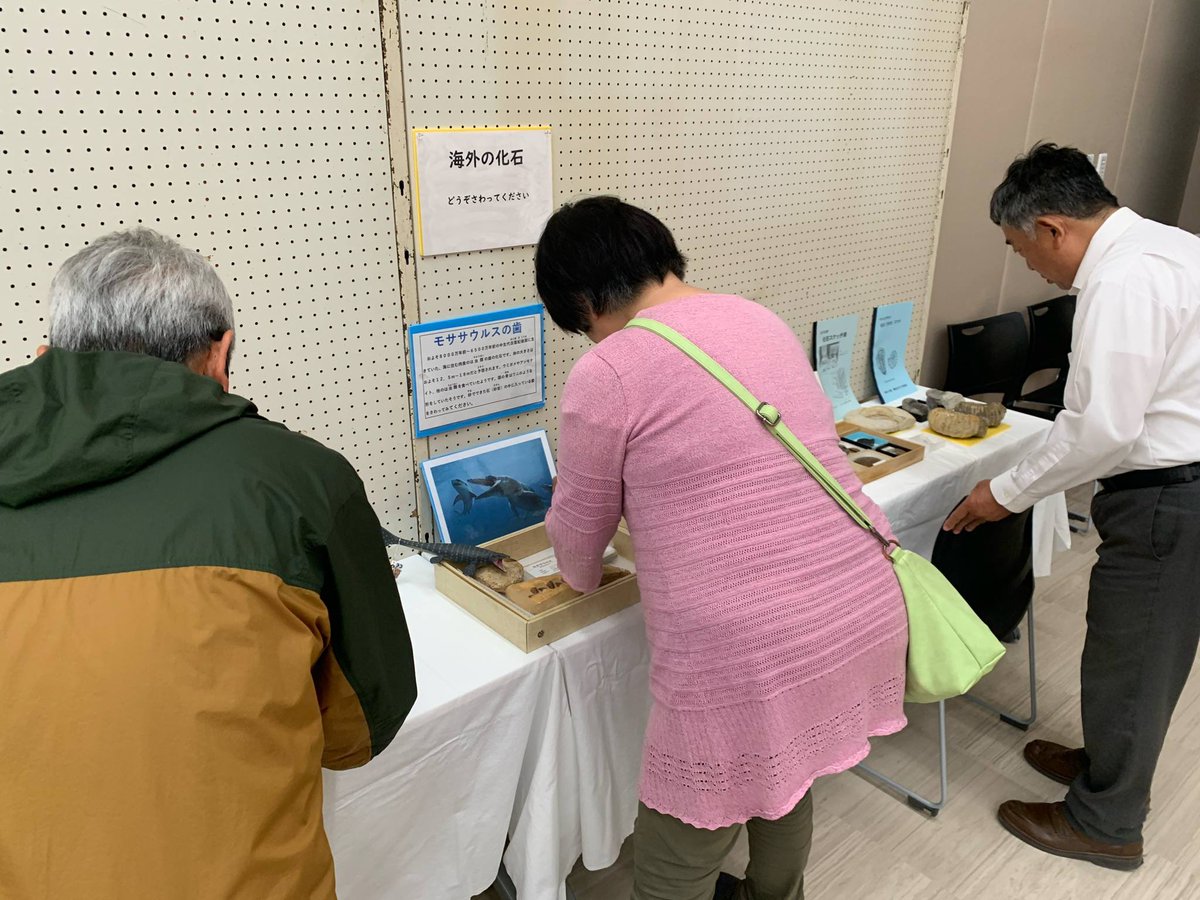 今日5月10日は #地質の日　🪨
明日からいよいよ御所浦恐竜の島博物館での展示が始まります‼️
着々と進む準備風景をチラ見せ🔍
明日(5月11日)の初日は体験イベント目白押し✨ぜひご参加ください♪

goshouramuseum.jp/202504052732