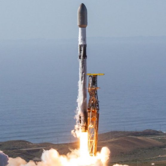 Bruno Ocampo tweet media