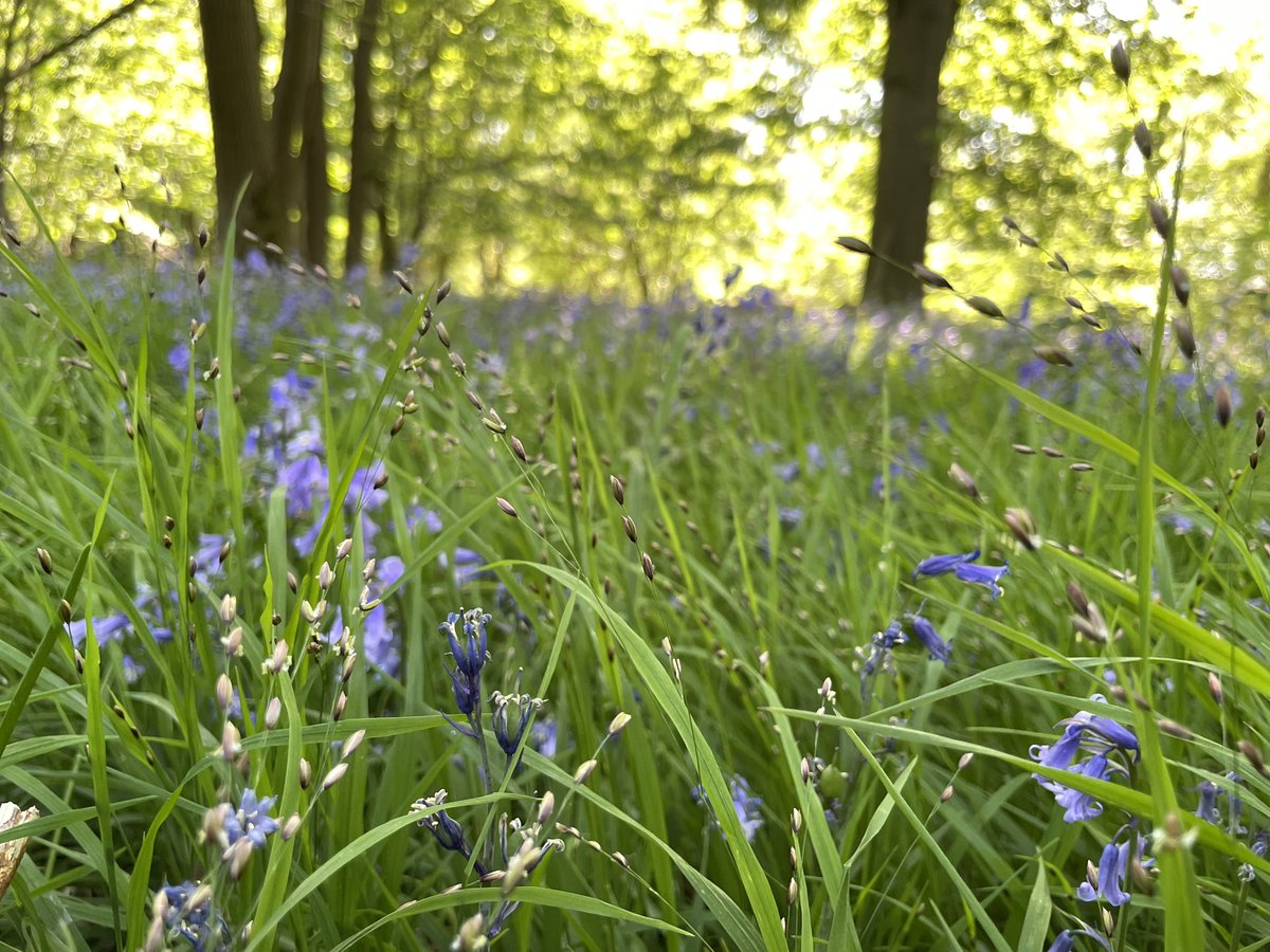 Grace Welling tweet media