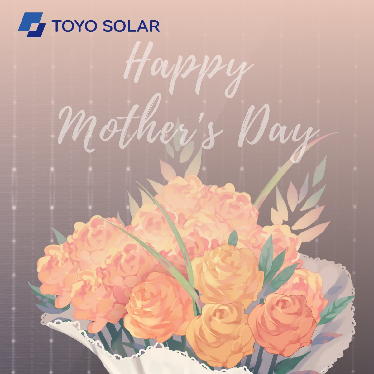 TOYO SOLAR tweet media