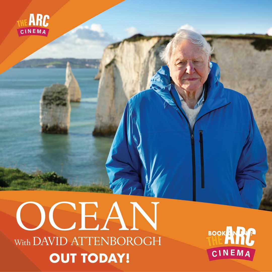 🌊 Oceans is out now — and yes!, #DavidAttenborough is taking us underwater on the big screen! 🐠💙

🎟️ Book Online Now:  ArcCinema.ie