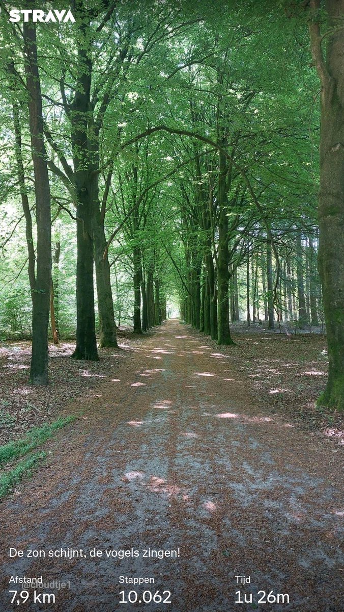 cloudtje1's tweet image. #roadtorecovery wandeling. Het was heerlijk! Ontmoeting met 80jarige hardloper. Een held! strava.app.link/Rgc5o26MfTb