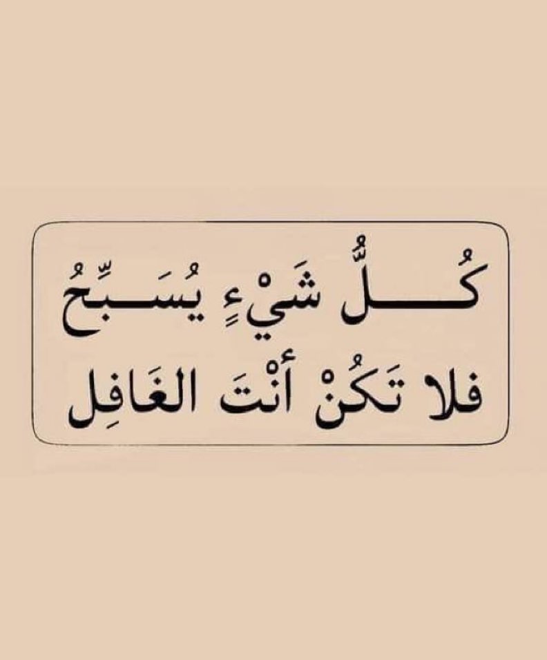 jadd7a's tweet photo. سبحان الله.. 🤍 https://t.co/ro1UUH7NhH