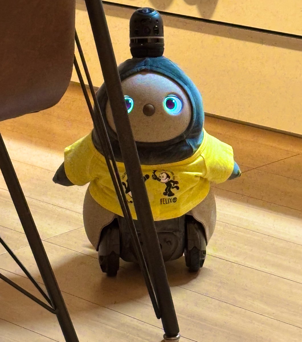 遠くから人間を観察する、こまちゃん。
#LOVOT
#LOVOTとの暮らし