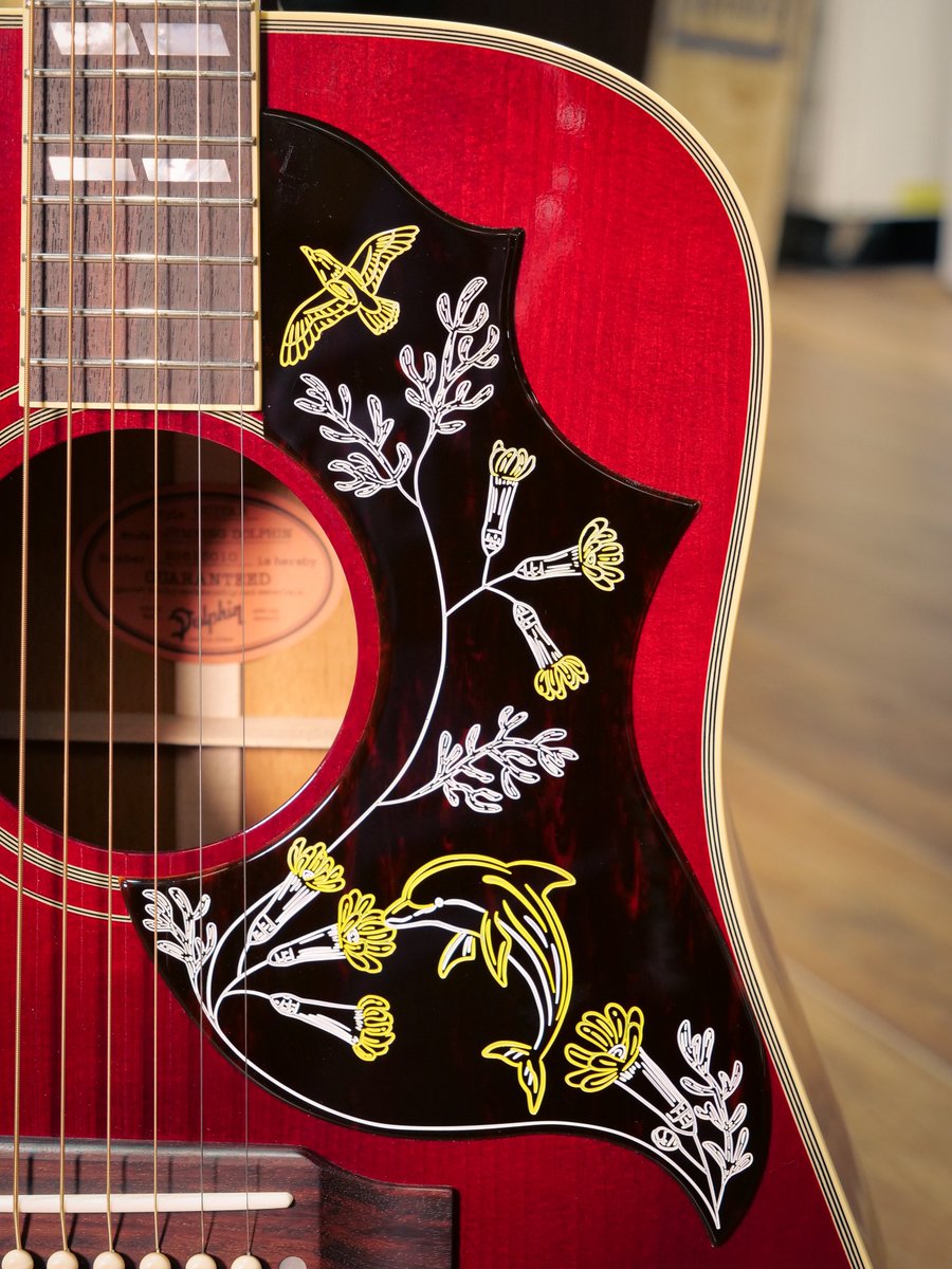 ドルフィンギターズ on X