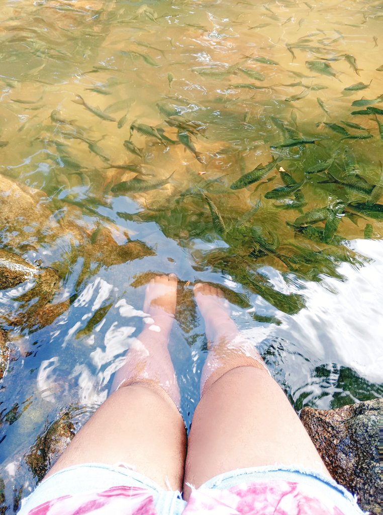 ร้อนๆเล่นน้ำกันมั่ยค่ะ💦
#นครศรีธรรมราช #เหงาโสด #หาเพื่อนคุย