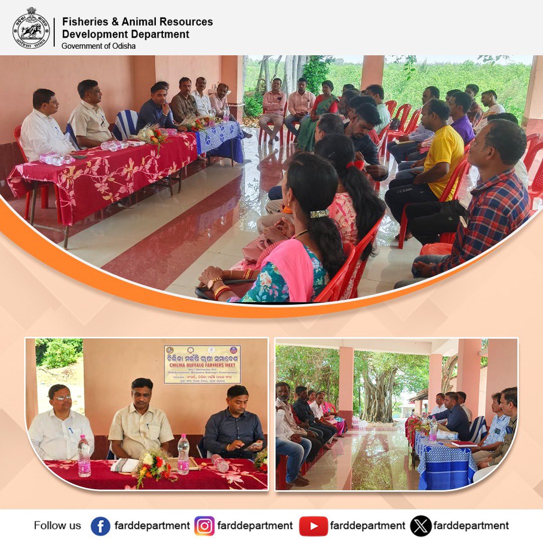 Shri Vijay Amruta Kulange, IAS, Director AH&amp;VS &amp; MD OMFED, interacted with Chilika buffalo farmers at Manikapatana, Puri on #Breed conservation, MPCS formation &amp; marketing of milk, curd &amp; ghee. Officials from OLRDS, ARD Dept., OMFED &amp; Sampark as Breeder Society joined the