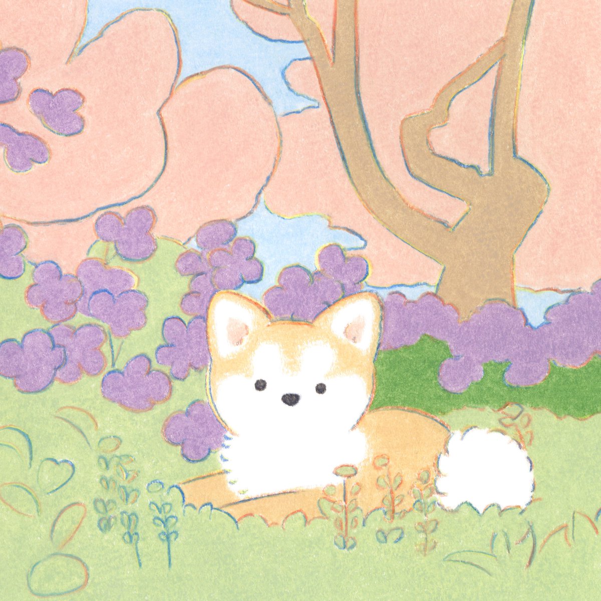 てらおかなつみ (@teraoka_natsumi) on Twitter photo 