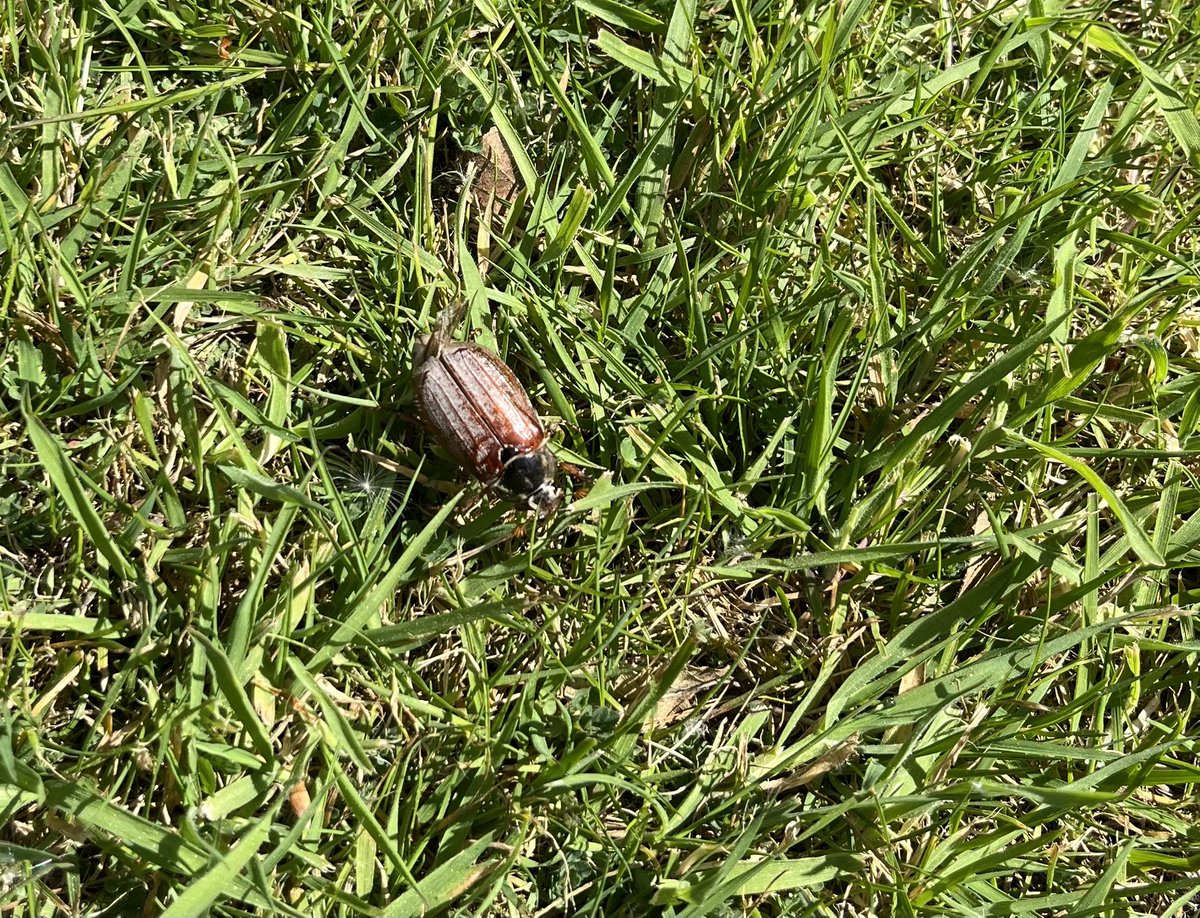 Daniel Spring tweet media