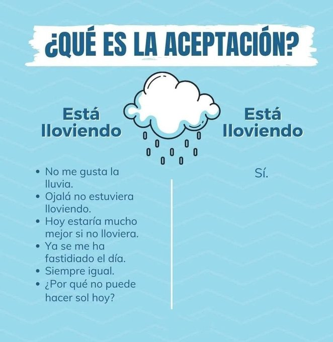 honordetigre's tweet photo. 8. https://t.co/bQcF1jT8dA