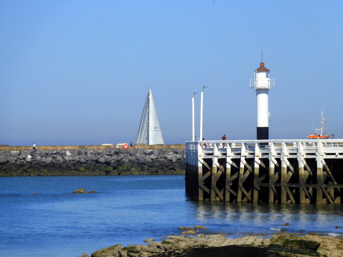 nori_reads's tweet image. Such a beautiful day...   ☀️ ⛵️ 🐟 #NorthSea
#placeswelove