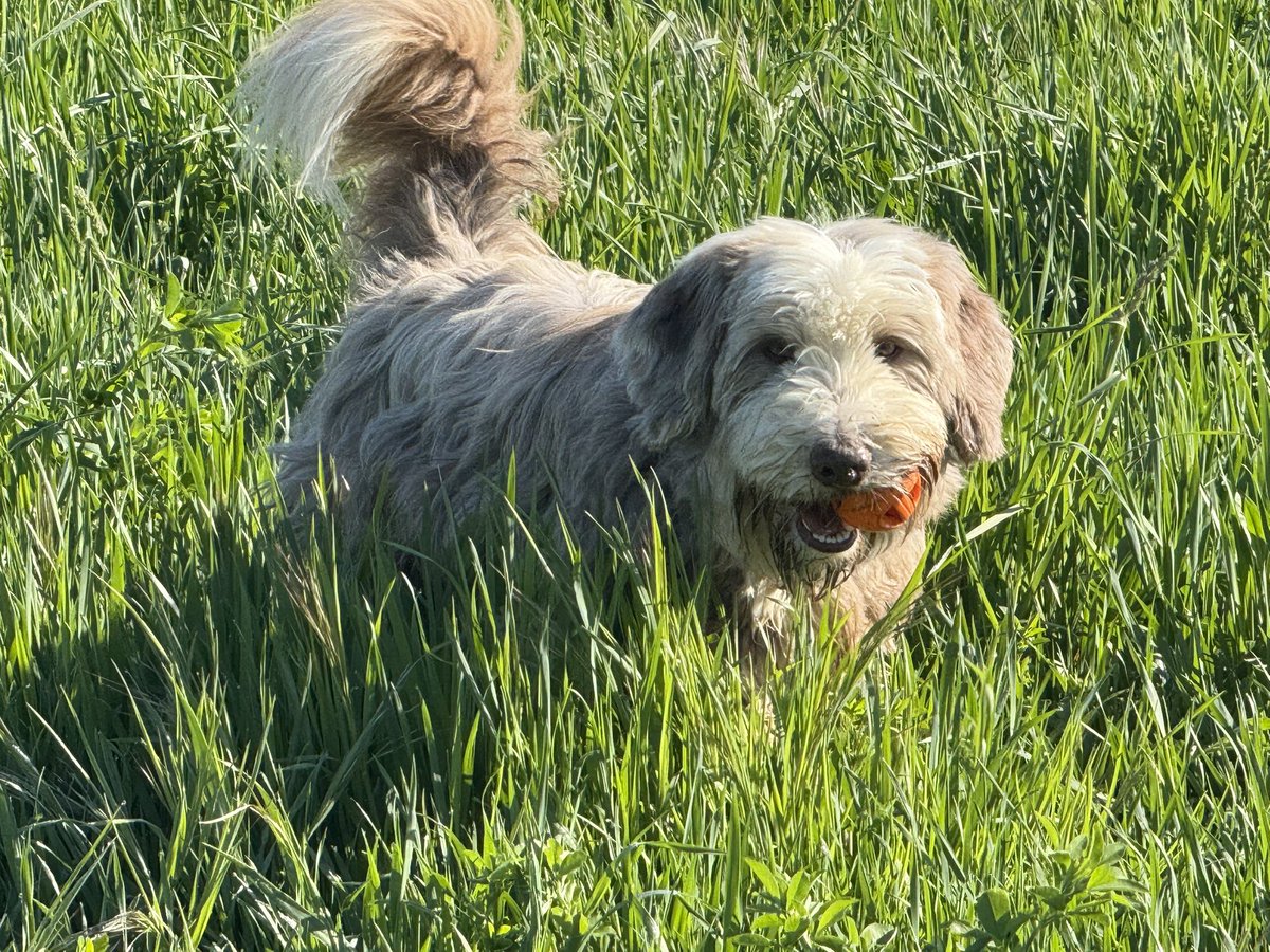 Hatte heute ne coole Morgenrunde 😃🤩