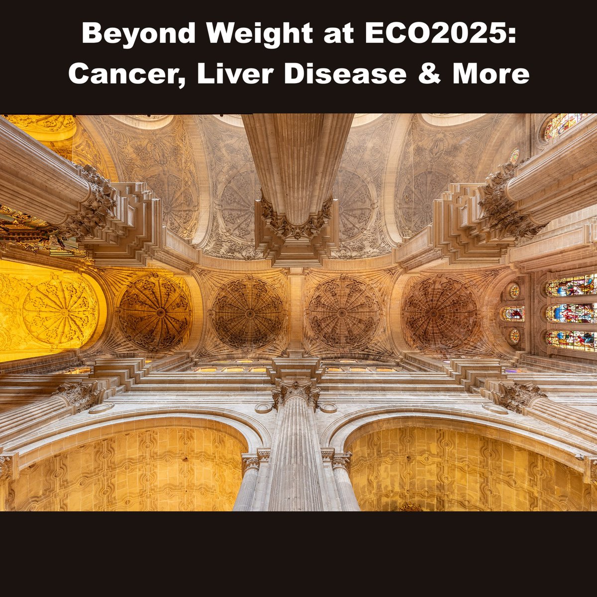 Ted Kyle tweet media