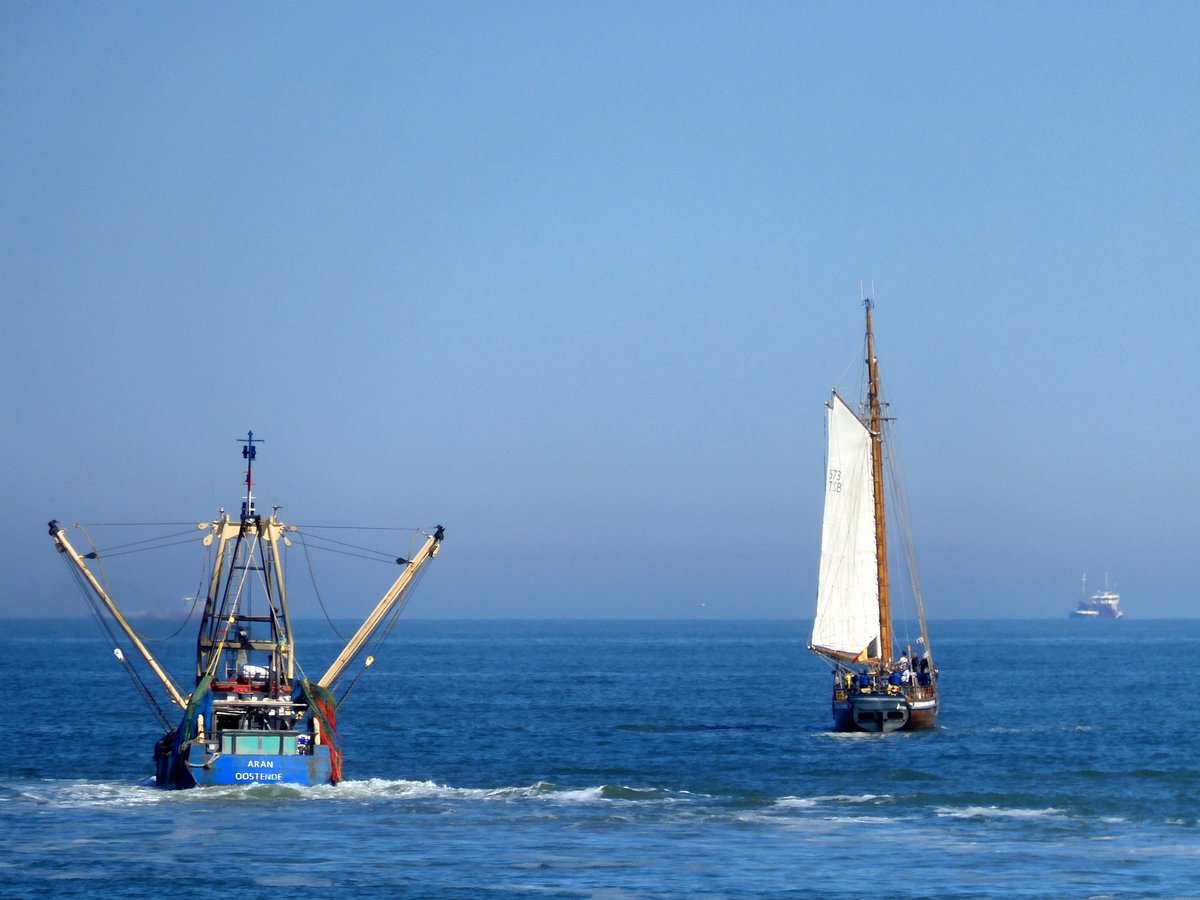 nori_reads's tweet image. Such a beautiful day...   ☀️ ⛵️ 🐟 #NorthSea
#placeswelove