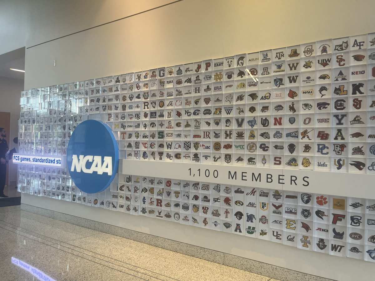 Kaleigh Badecki tweet media